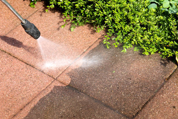 Best Pressure Washing Siding  in Rosamond, CA